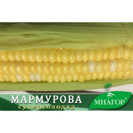 ДН Марго