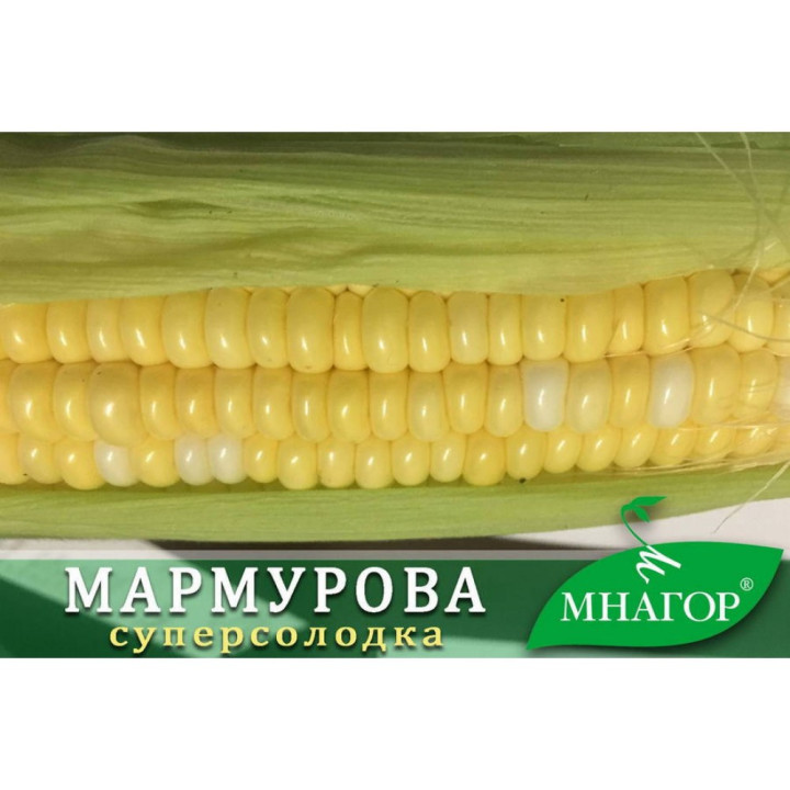 ДН Марго