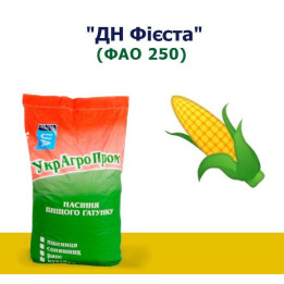 ДН Презент