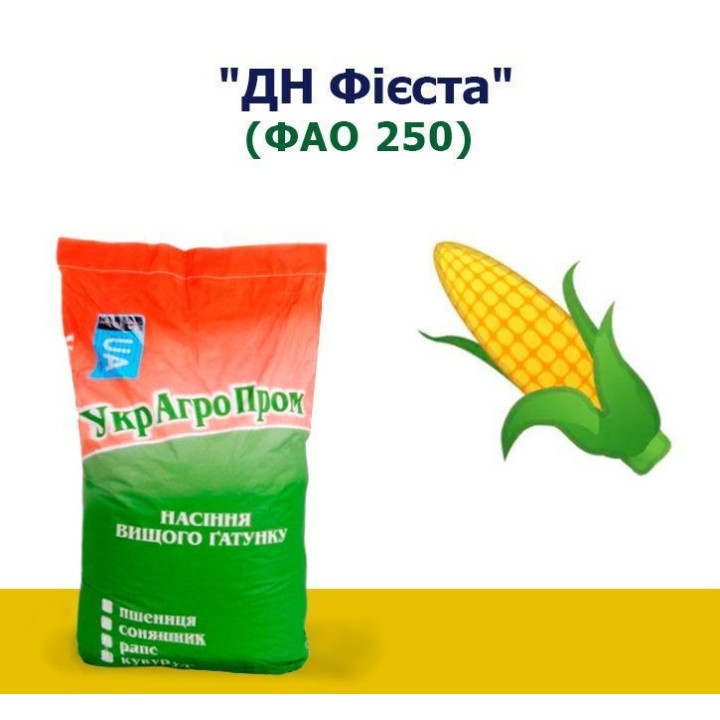 ДН Презент