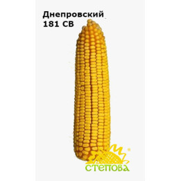 Днепровский 181 СВ / Дніпровський 181 СВ
