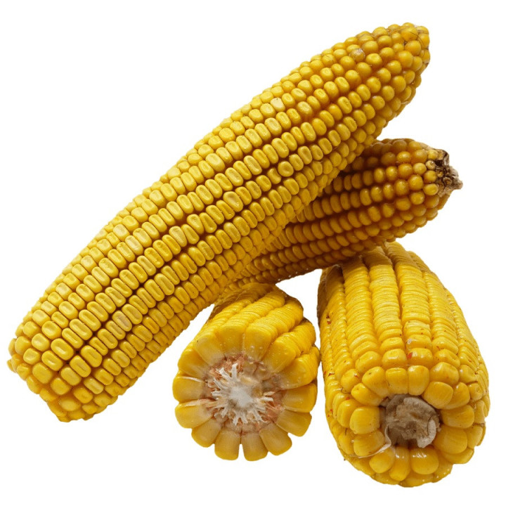 Елідіум