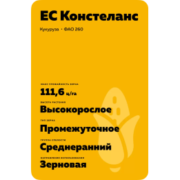 ES Constellation / ЕС КОНСТЕЛАНС