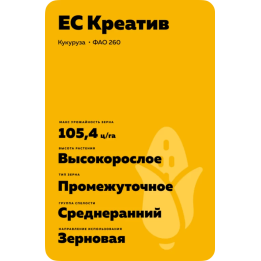 ES CREATIVE / ЕС КРЕАТИВ