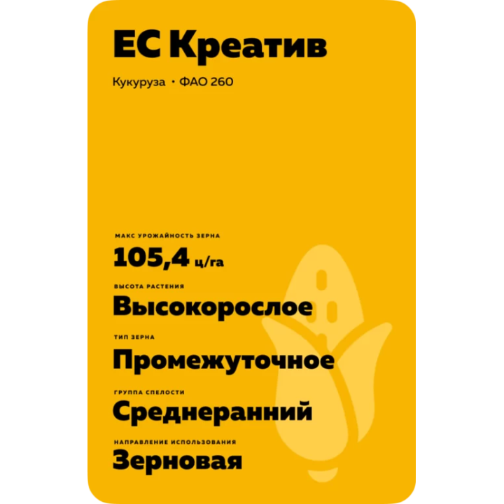 ES CREATIVE / ЕС КРЕАТИВ