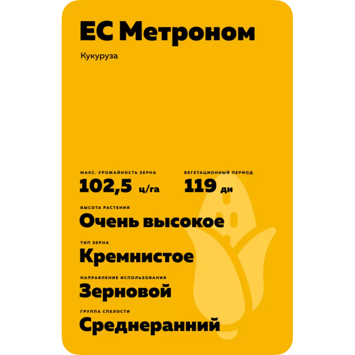 ES METRONOM / ЕС МЕТРОНОМ