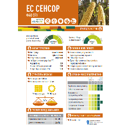 ES Sensor / ЕС Сенсор
