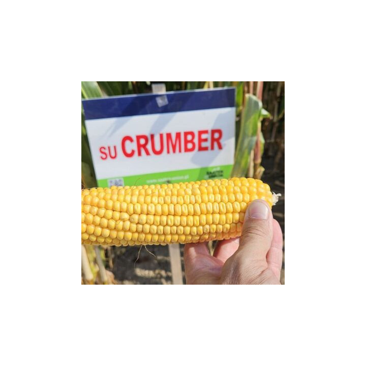 SU Crumber / ЗУ Крамбер