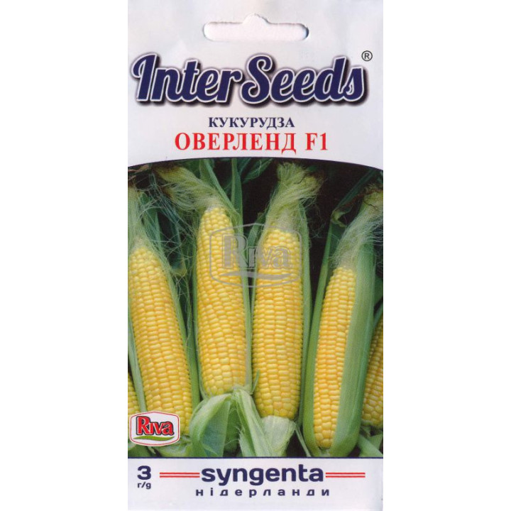 INTERACTIS / ІНТЕРАКТІС