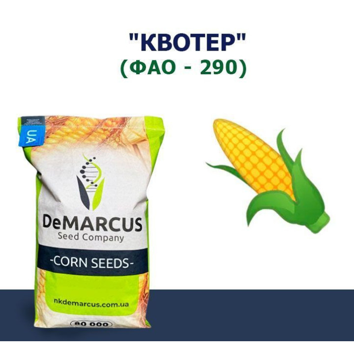 Квотер