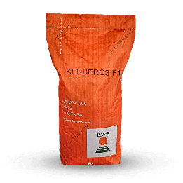 Kerberos / Керберос