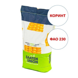 Korynt / Коринт