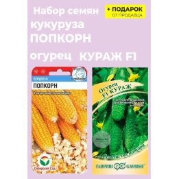 Кураж