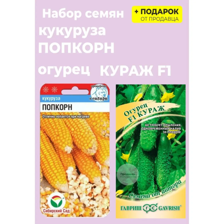 Кураж
