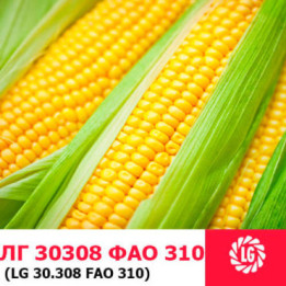 LG30308 / ЛГ30308