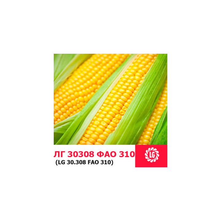 LG30308 / ЛГ30308
