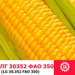 LG30352 / ЛГ30352