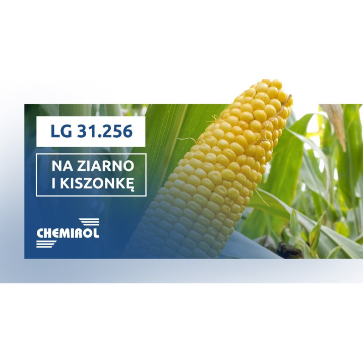 LG31256 / ЛГ31256