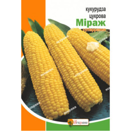 MAJARE / МАДЖАРЕ