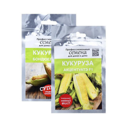 Мастерс