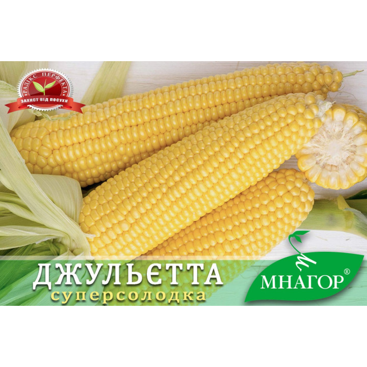 NARGILO / НАРДЖІЛО