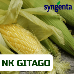 NK Gitago / НК Джитаго