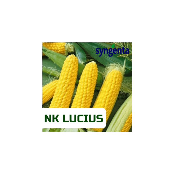 NK Lucius / НК Луціус