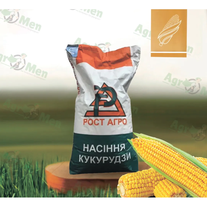 Нокс