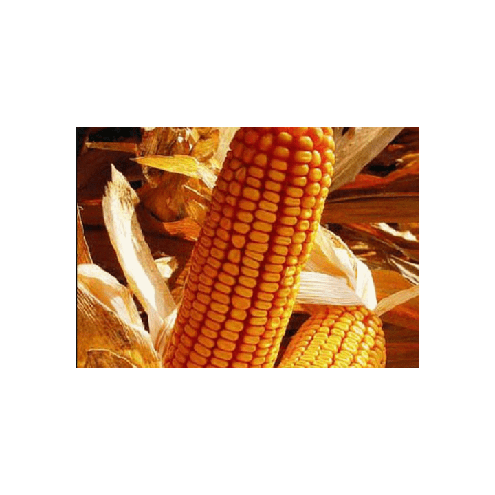 P7043 / П7043
