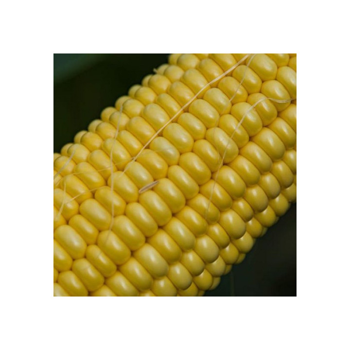 P8329 / П8329