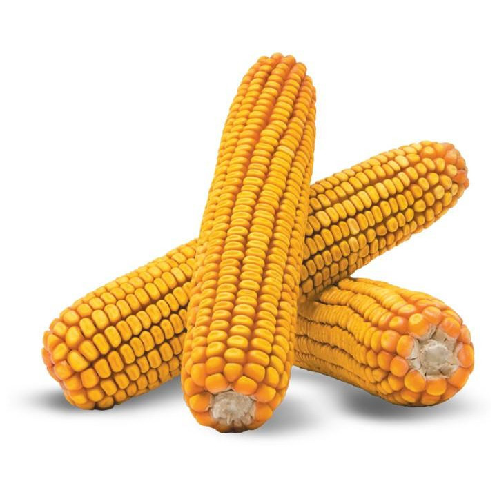 Паблік