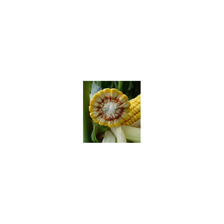 Piaff / Піафф