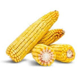 Платинум