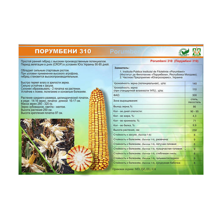 Porumbeni 310 / Порумбені 310