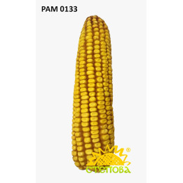 РАМ 0133