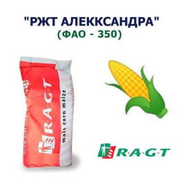 RGT ALYXX / РЖТ АЛІККС