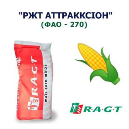 RGT ATTRAXXION / РЖТ АТТРАККСІОН
