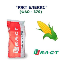 RGT ALEХХ / РЖТ ЕЛЕККС