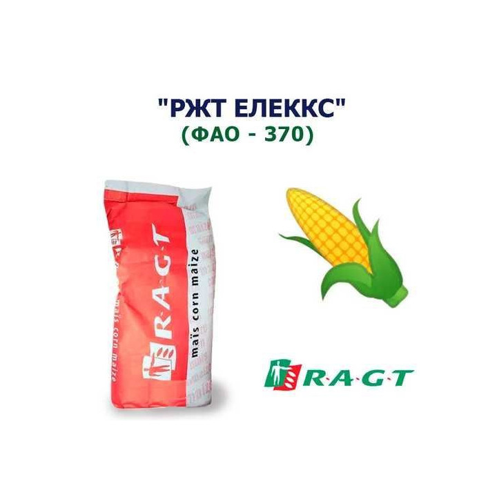 RGT ALEХХ / РЖТ ЕЛЕККС