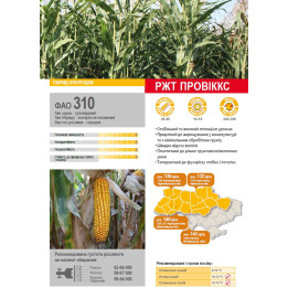 RGT PROVEXX / РЖТ ПРОВІККС