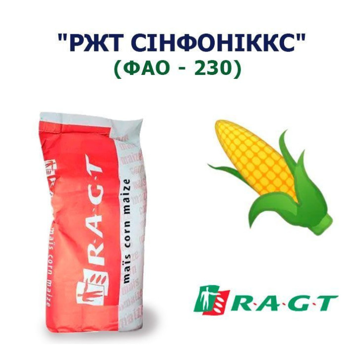RGT SYNFONIXX / РЖТ СІНФОНІККС