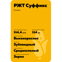 RGT SUFFIXXE / РЖТ СУФІККС