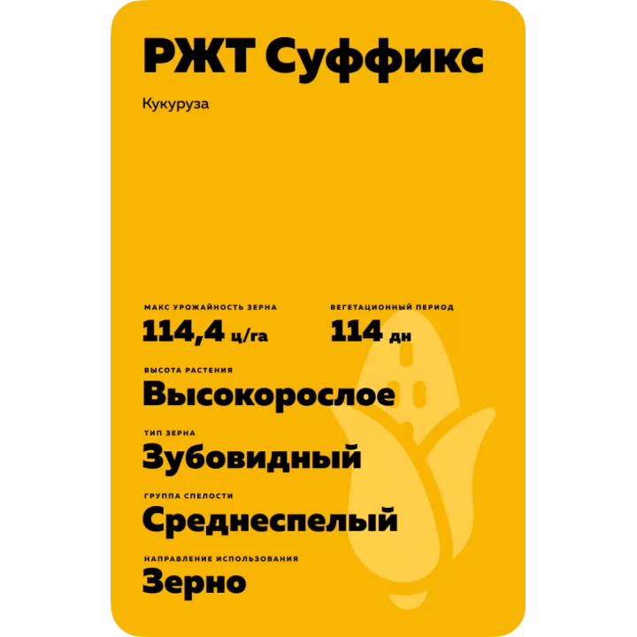 RGT SUFFIXXE / РЖТ СУФІККС