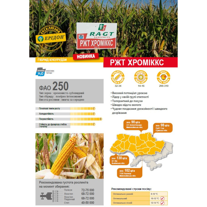 RGT CHROMIXX / РЖТ ХРОМІККС
