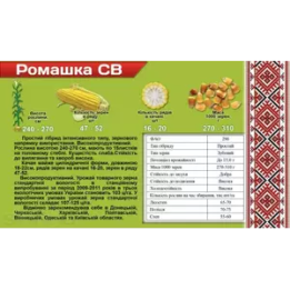 Ромашка СВ
