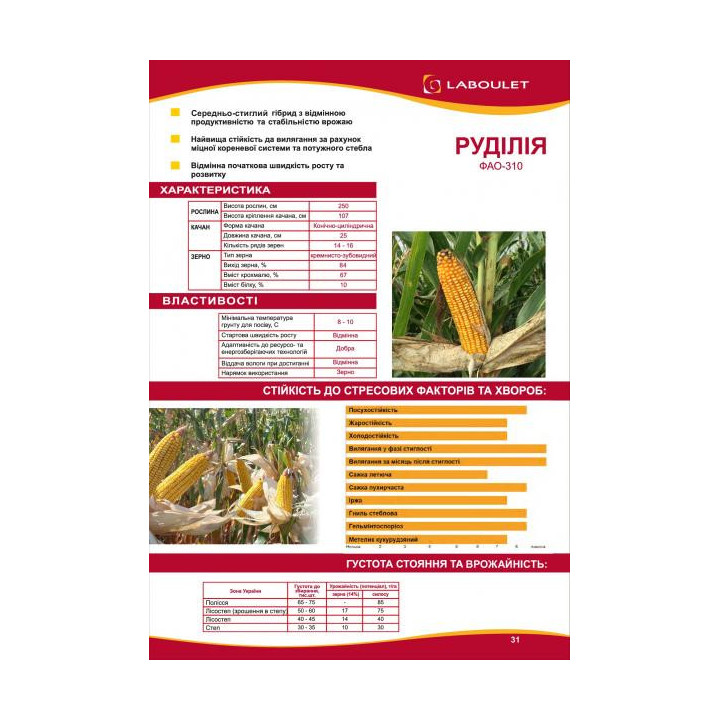 RUDILIA / РУДІЛІЯ