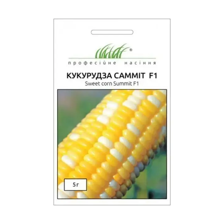 Саміт