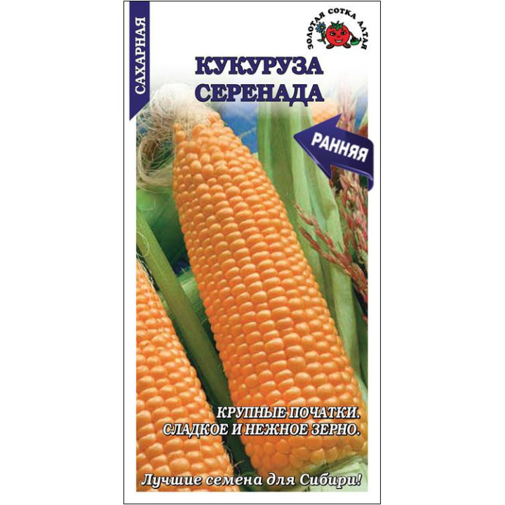 Серенада