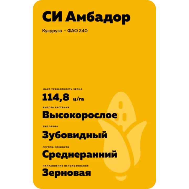SY AMBADOR / СИ АМБАДОР