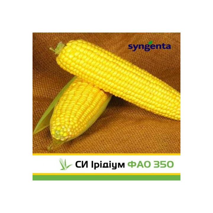 SY Iridium / СИ Ірідіум